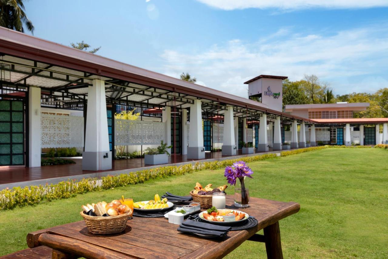 Elephyard Retreat Mahiyanganaya Exterior foto